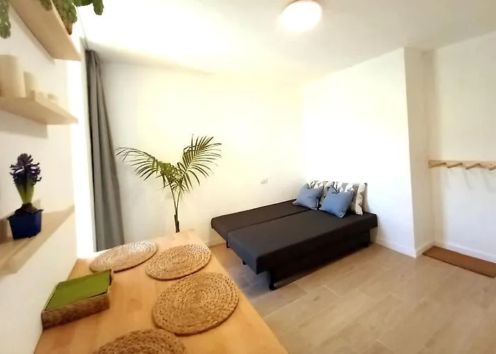 Osa Mayor Bajamar (La Laguna)