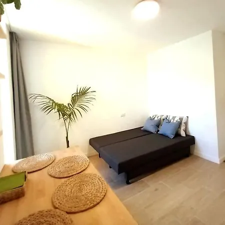 Osa Mayor Bajamar (La Laguna)