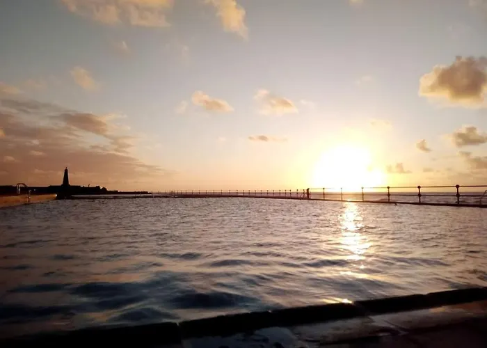 Osa Mayor באיאמר